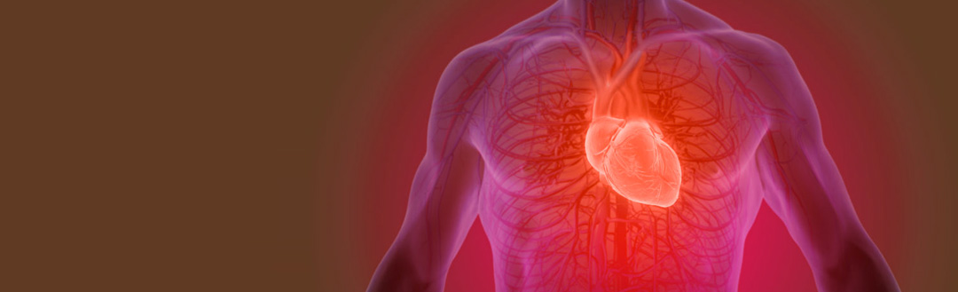 img_Mitral-valve-regurgitation_page-bis